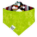 Bookworm Pet Bandana