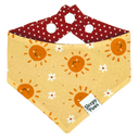 Warm Summers Pet Bandana