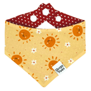 Warm Summers Pet Bandana