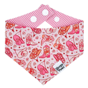 Cowgirl Rodeo Pet Bandana - @coloradocowcrew's birthday bandana