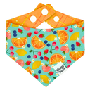 Juicy Fruits Pet Bandana