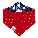 Firecracker Confetti Pet Bandana