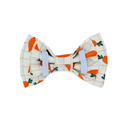 Plaid Carrots Bow