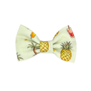 Pina Colada Bow