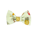 Pina Colada Bow