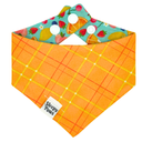 Juicy Fruits Pet Bandana