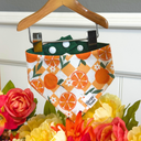 Citrus Grove Pet Bandana