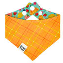 Juicy Fruits Pet Bandana