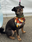 Small dog wearing a colorful bandana on a leash, standing on a pavement.