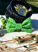 Clover Field Bow