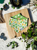 Coins and Clovers Pet Bandana