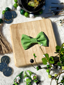 Spring Green Bow