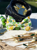Coins and Clovers Bow