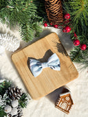 Polar Playground Bow