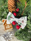 Winter Cabin Ski Trail Bow