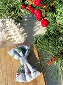 Winter Cabin Ski Trail Bow