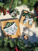 Winter Cabin Ski Trail Bow