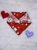 Chocolate Covered Strawberries - Pet dog cat snap on reversible pet bandana accessories