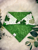 Lucky Clover Fields - Pet dog cat snap on reversible pet bandana accessories