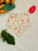 Hop into Spring - Pet dog cat snap on reversible pet bandana accessories