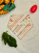 Hop into Spring - Pet dog cat snap on reversible pet bandana accessories
