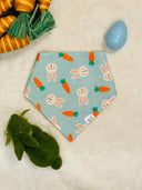 Carrot Craze - Pet dog cat snap on reversible pet bandana accessories