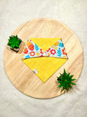 Summer Pride - Pet dog cat snap on reversible pet bandana accessories