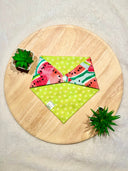 Summer Juicy Watermelons - Pet dog cat snap on reversible pet bandana accessories