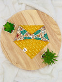 Outdoor Adventure Explorer - Pet dog cat snap on reversible pet bandana accessories