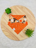Witches Hat Pumkins - Pet dog cat snap on reversible pet bandana accessories