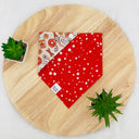 Pumpkin Spice Cinnamon Latte - Pet dog cat snap on reversible pet bandana accessories