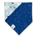 Frosty the Snowman - Pet dog cat snap on reversible pet bandana accessories