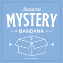 SEASONAL Mystery Bandana - Pet dog cat snap on reversible pet bandana accessories