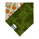 Citrus Orange Floral Flowers - Pet dog cat snap on reversible pet bandana accessories