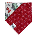 Spring Showers Rain Pour Rainboots - Pet dog cat snap on reversible pet bandana accessories