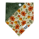Tangerine Spring Bee Floral Flowers - Pet dog cat snap on reversible pet bandana accessories