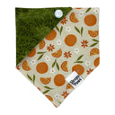 Citrus Orange Floral Flowers - Pet dog cat snap on reversible pet bandana accessories