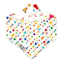 Colors of Summer - watermelon beach ball popsicle - Pet dog cat snap on reversible pet bandana accessories