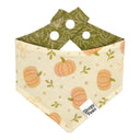 Pretty in Pumpkin - blush pink pumpkin harvest with sweet pink bows - Pet dog cat snap on reversible pet bandana accessories