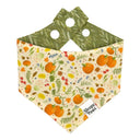 Pumpkin Patchwalk - cottagecore woodlands forest pumpkin ferns - Pet dog cat snap on reversible pet bandana accessories