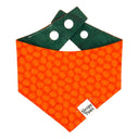 Tiny Pumpkin Parade - small minimal mini pumpkin patch collection - Pet dog cat snap on reversible pet bandana accessories