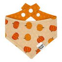 Lil Pumpkin Patch - classic cozy autumn pumpkins - Pet dog cat snap on reversible pet bandana accessories