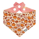 Sip of Autumn - cozy pumpkin spice latte drink - Pet dog cat snap on reversible pet bandana accessories