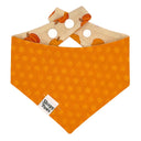 Lil Pumpkin Patch - classic cozy autumn pumpkins - Pet dog cat snap on reversible pet bandana accessories